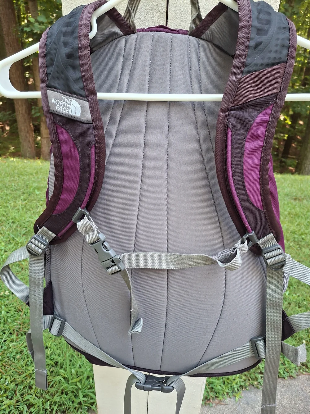 The North Face Jester Plum/Purple Backpack